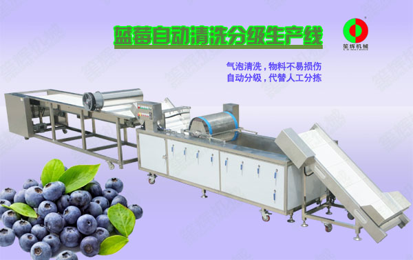 崂山蓝莓/蔬果全自动清洗分级生产线